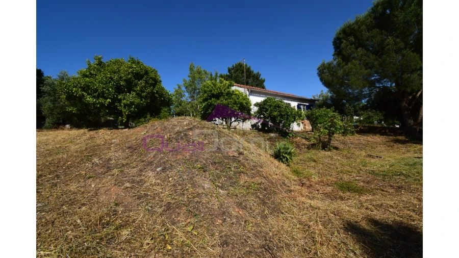 Quinta T1 para Venda em Santa Margarida da Coutada Foto 2