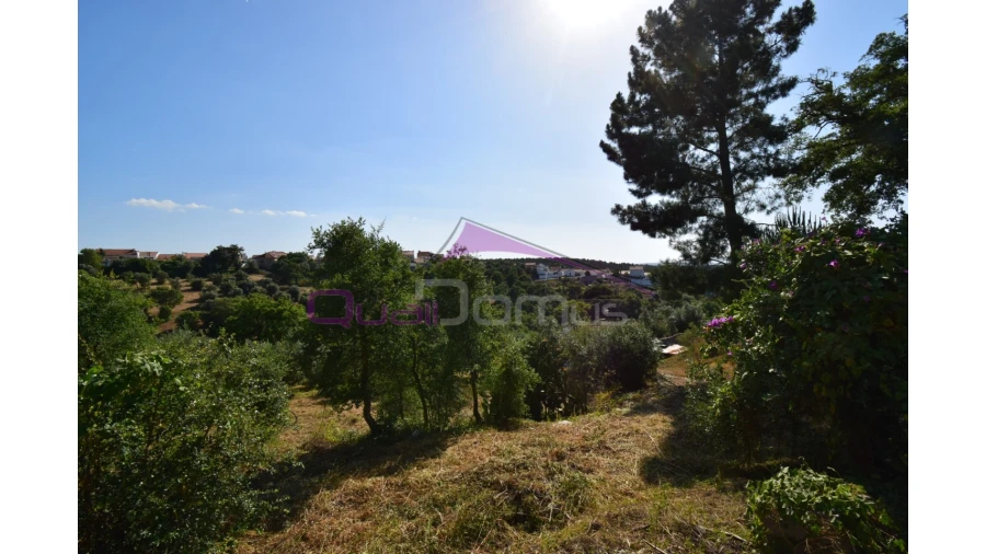 Quinta T1 para Venda em Santa Margarida da Coutada Foto 3