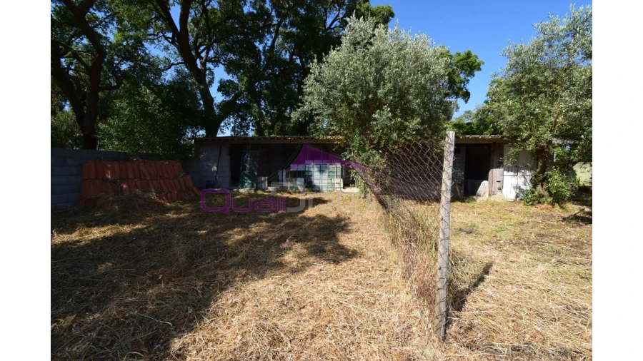 Quinta T1 para Venda em Santa Margarida da Coutada Foto 5