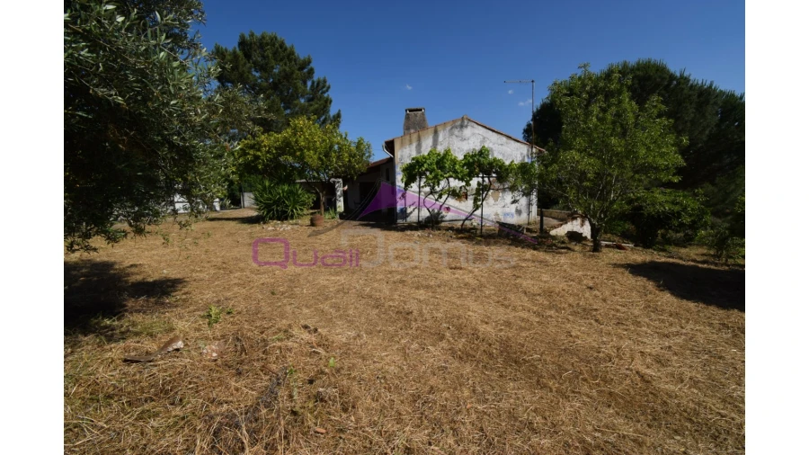 Quinta T1 para Venda em Santa Margarida da Coutada Foto 6