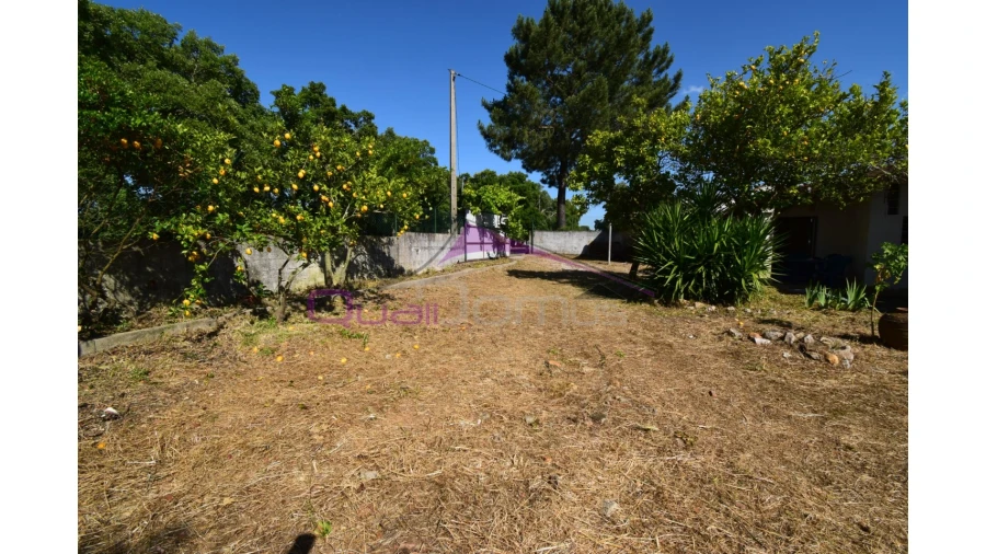 Quinta T1 para Venda em Santa Margarida da Coutada Foto 7