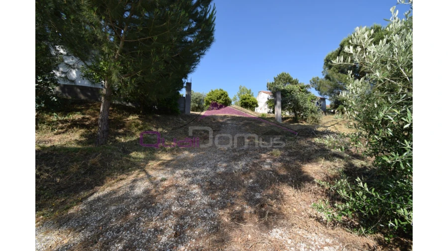 Quinta T1 para Venda em Santa Margarida da Coutada Foto 20