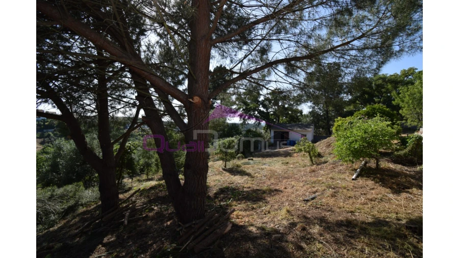 Quinta T1 para Venda em Santa Margarida da Coutada Foto 23