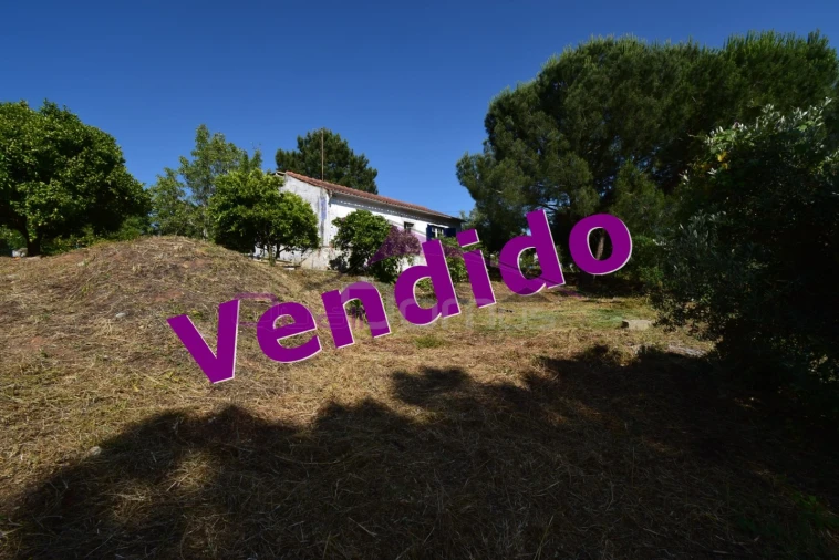 Quinta T1 para Venda em Santa Margarida da Coutada