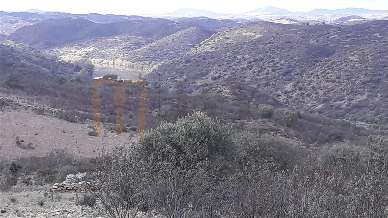 Terreno Agricola ou Rústico para Venda em Espirito Santo Foto 4