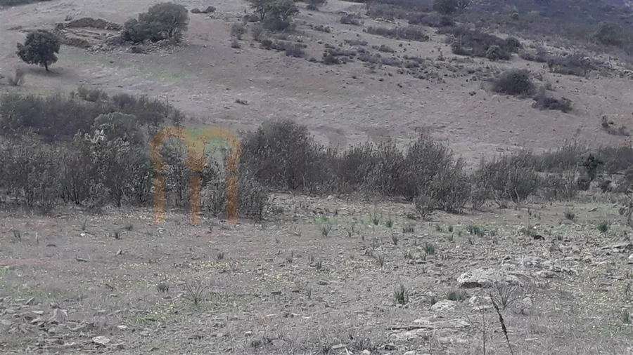 Terreno Agricola ou Rústico para Venda em Espirito Santo Foto 8