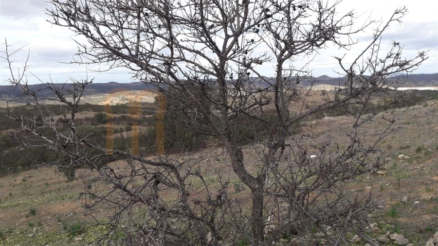 Terreno Agricola ou Rústico para Venda em Espirito Santo Foto 9