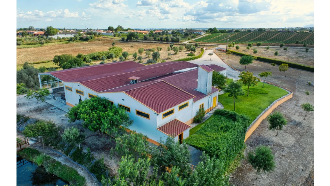 Armazém para Venda em Achete, Azoia de Baixo e Póvoa de Santarém Foto 9