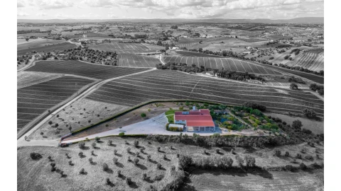 Armazém para Venda em Achete, Azoia de Baixo e Póvoa de Santarém