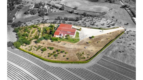 Armazém para Venda em Achete, Azoia de Baixo e Póvoa de Santarém