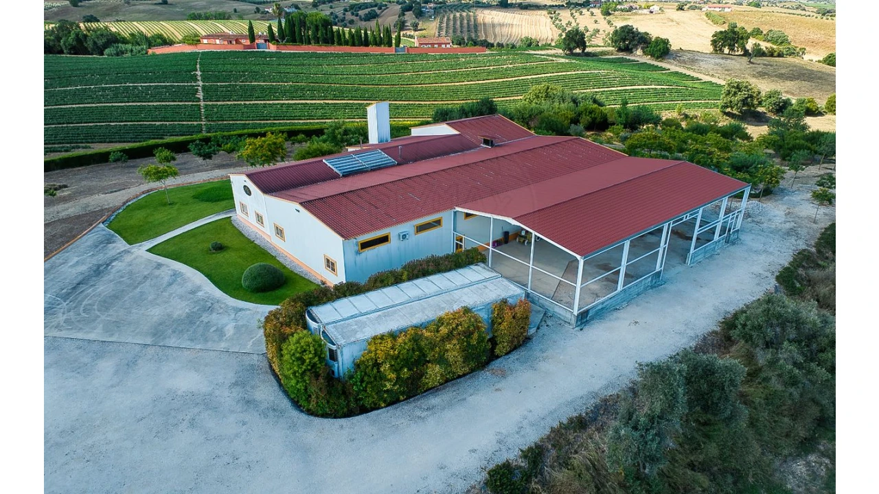 Armazém para Venda em Achete, Azoia de Baixo e Póvoa de Santarém Foto 7