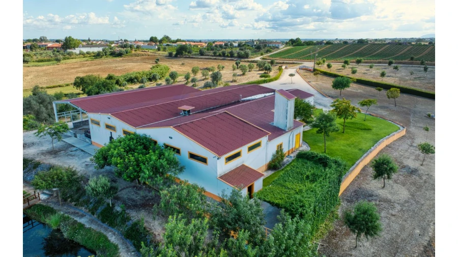 Armazém para Venda em Achete, Azoia de Baixo e Póvoa de Santarém Foto 9