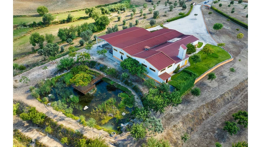 Armazém para Venda em Achete, Azoia de Baixo e Póvoa de Santarém Foto 4