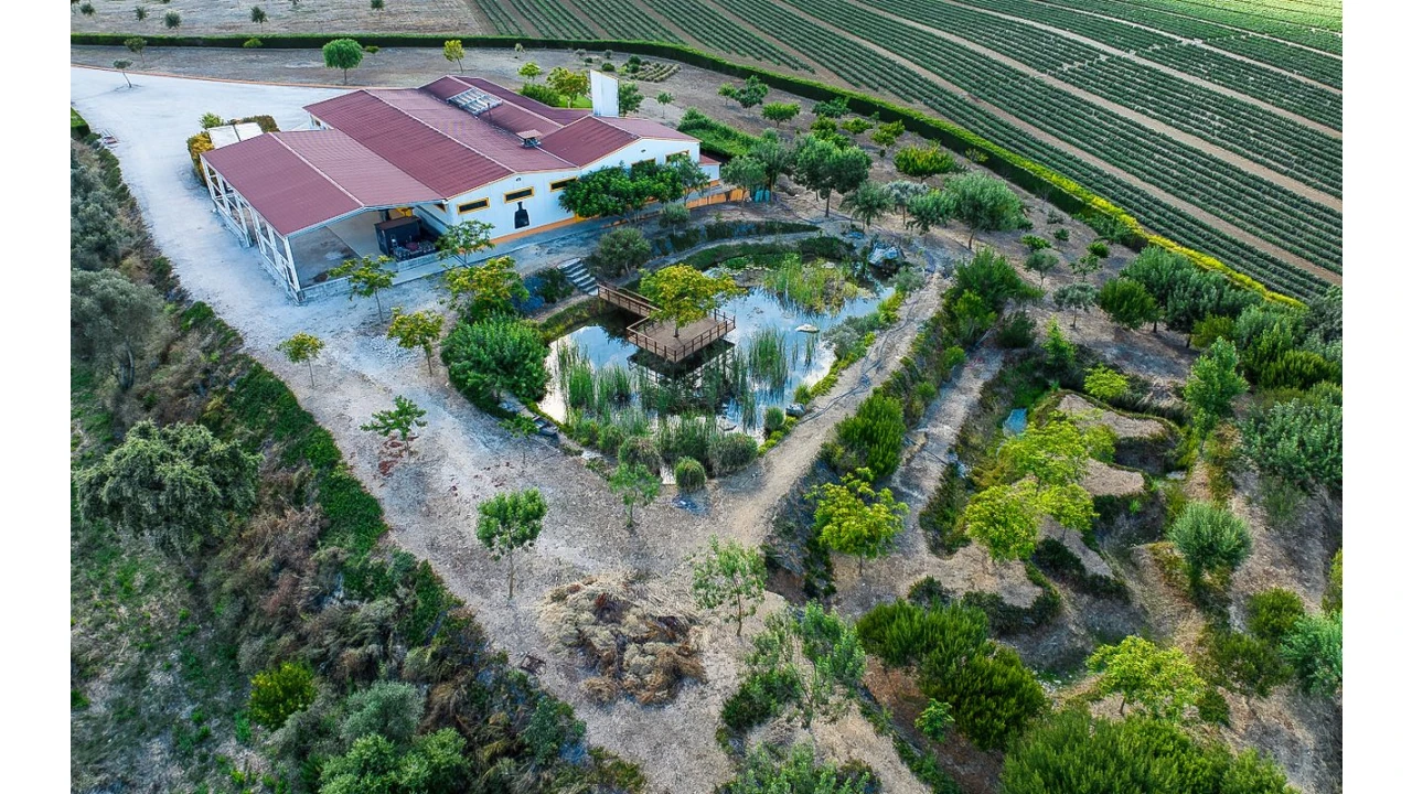 Armazém para Venda em Achete, Azoia de Baixo e Póvoa de Santarém Foto 6