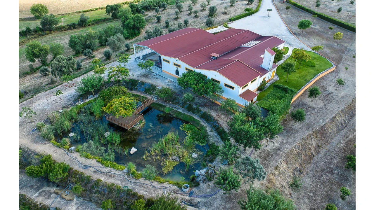 Armazém para Venda em Achete, Azoia de Baixo e Póvoa de Santarém Foto 8
