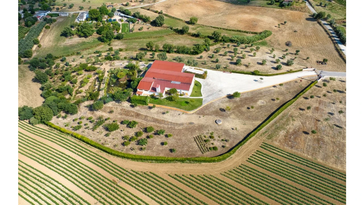 Armazém para Venda em Achete, Azoia de Baixo e Póvoa de Santarém Foto 2