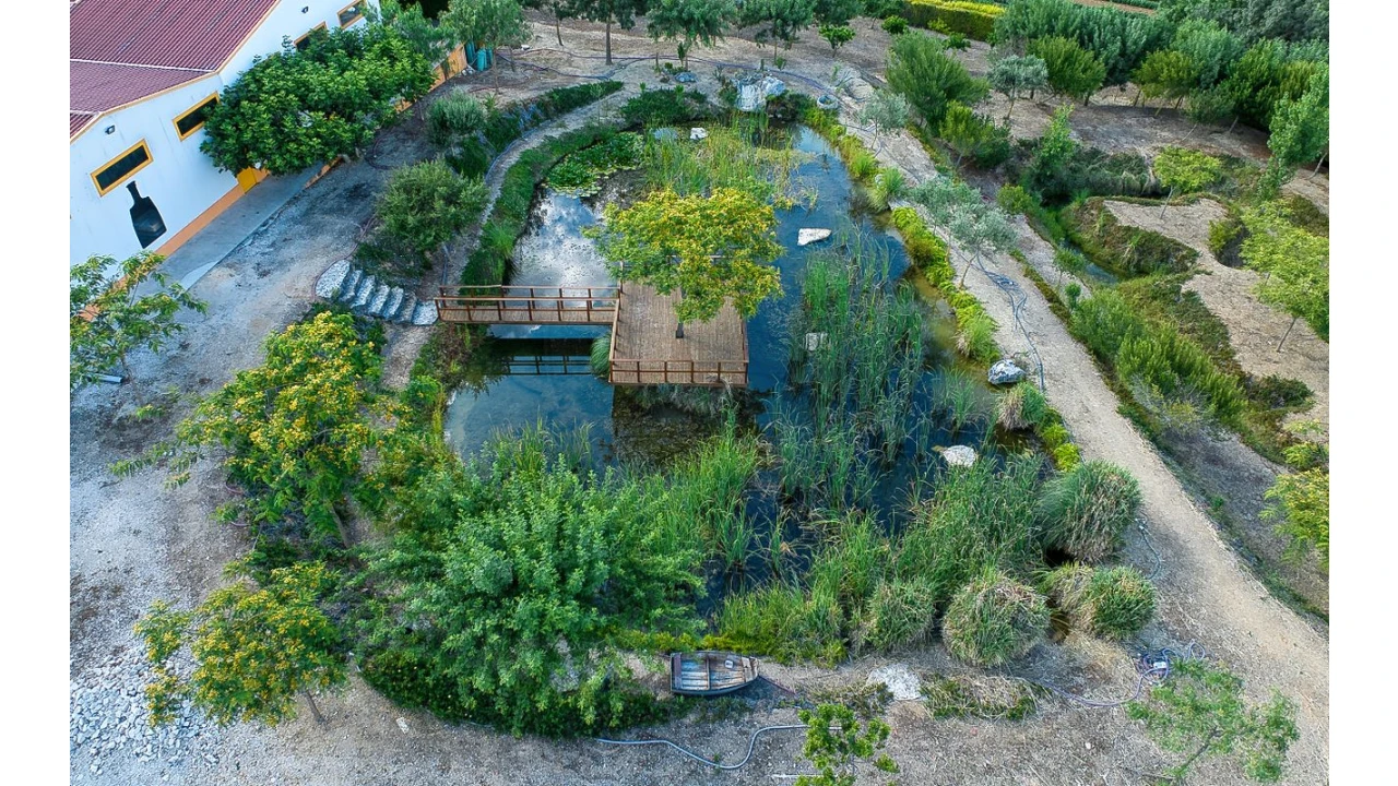 Armazém para Venda em Achete, Azoia de Baixo e Póvoa de Santarém Foto 13