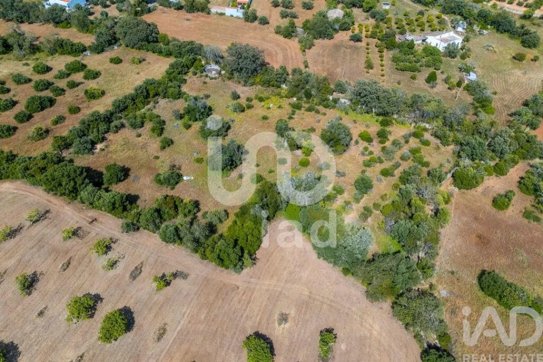 Terreno para Venda em Loule (São Clemente) Foto 9