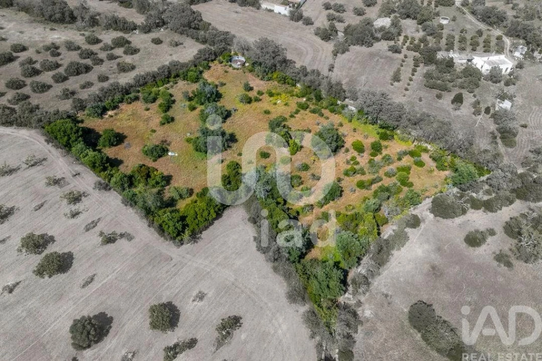 Terreno para Venda em Loule (São Clemente) Foto 8
