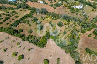 Terreno para Venda em Loule (São Clemente)