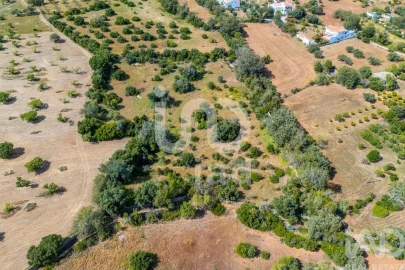 Terreno para Venda em Loule (São Clemente)