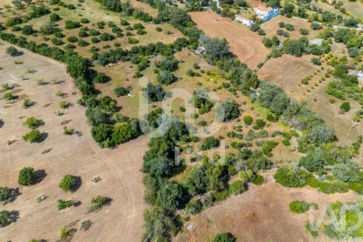 Terreno para Venda em Loule (São Clemente)