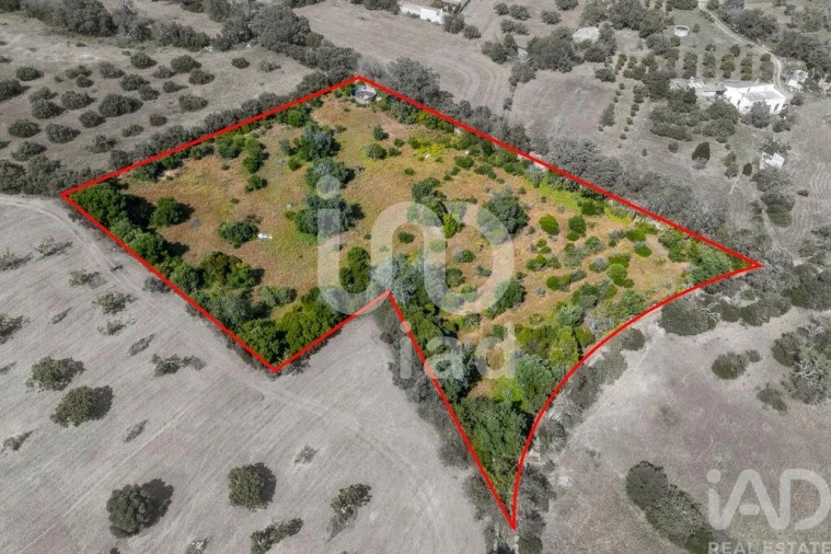 Terreno para Venda em Loule (São Clemente) Foto 2