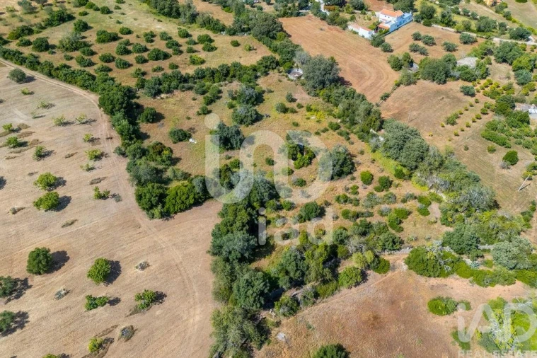 Terreno para Venda em Loule (São Clemente) Foto 6