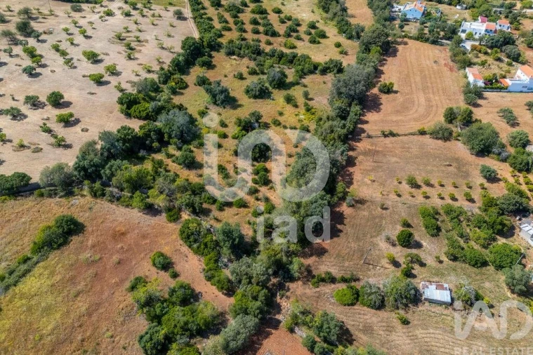 Terreno para Venda em Loule (São Clemente) Foto 4