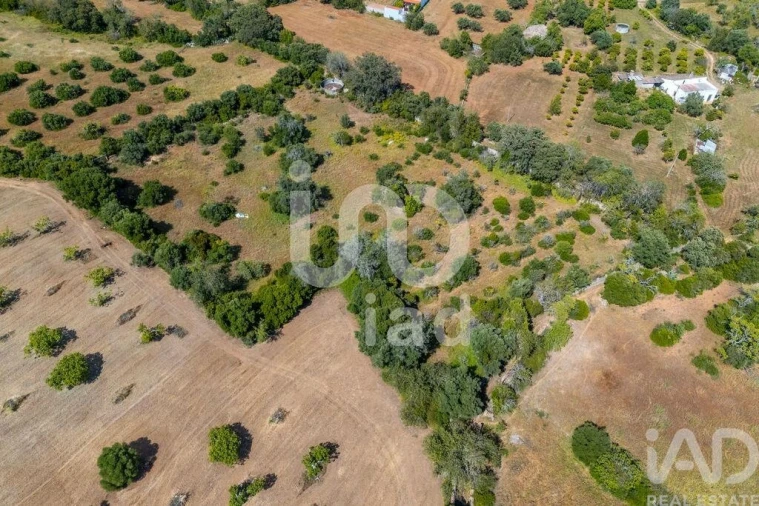 Terreno para Venda em Loule (São Clemente) Foto 7