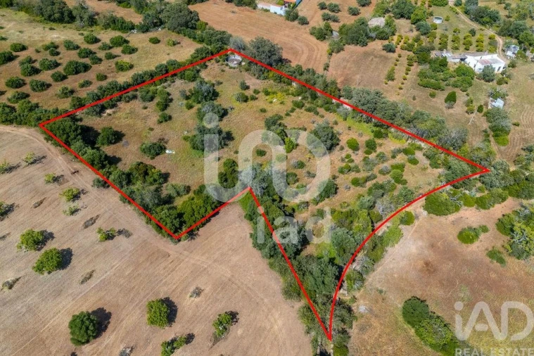 Terreno para Venda em Loule (São Clemente)
