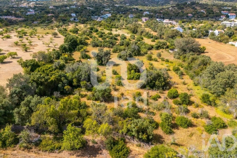 Terreno para Venda em Loule (São Clemente) Foto 27