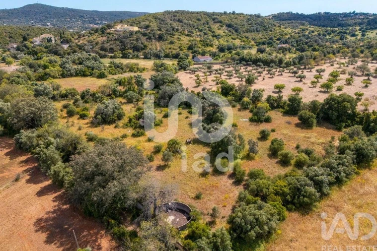 Terreno para Venda em Loule (São Clemente) Foto 21
