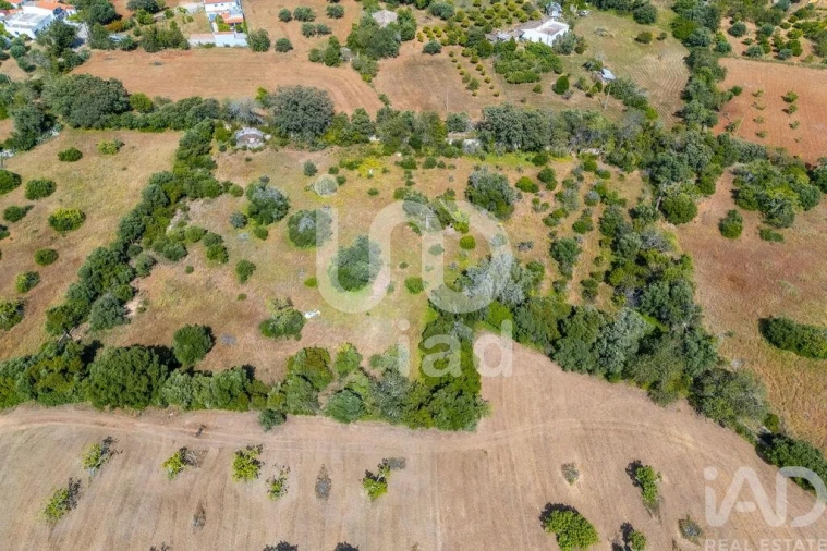 Terreno para Venda em Loule (São Clemente) Foto 10
