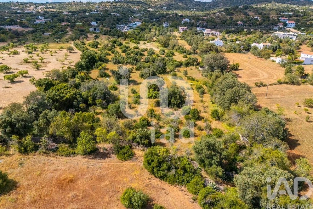 Terreno para Venda em Loule (São Clemente) Foto 29