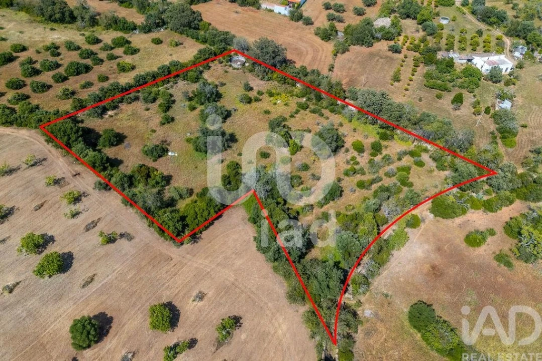 Terreno para Venda em Loule (São Clemente) Foto 1