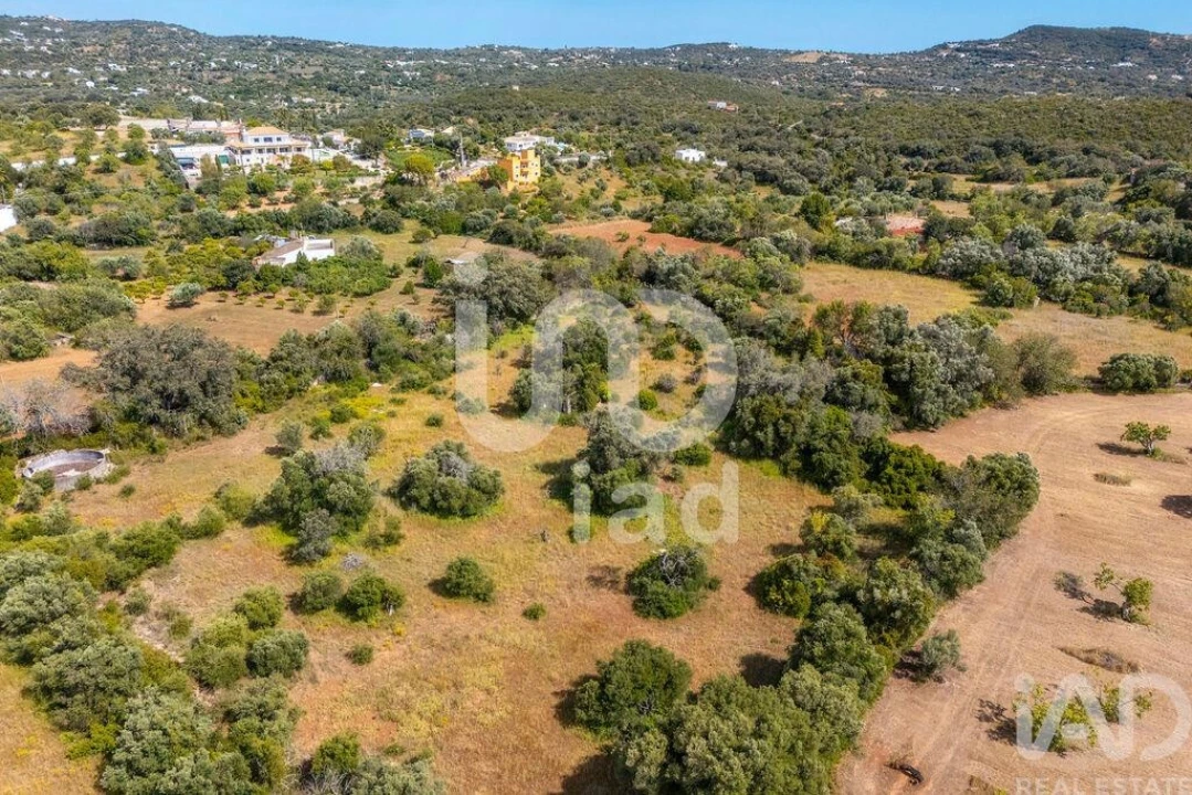 Terreno para Venda em Loule (São Clemente) Foto 14