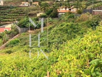 Terreno para Venda em Ribeira Brava