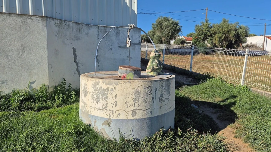 Moradia T5 para Venda em Gafanhoeira (São Pedro) e Sabugueiro Foto 50