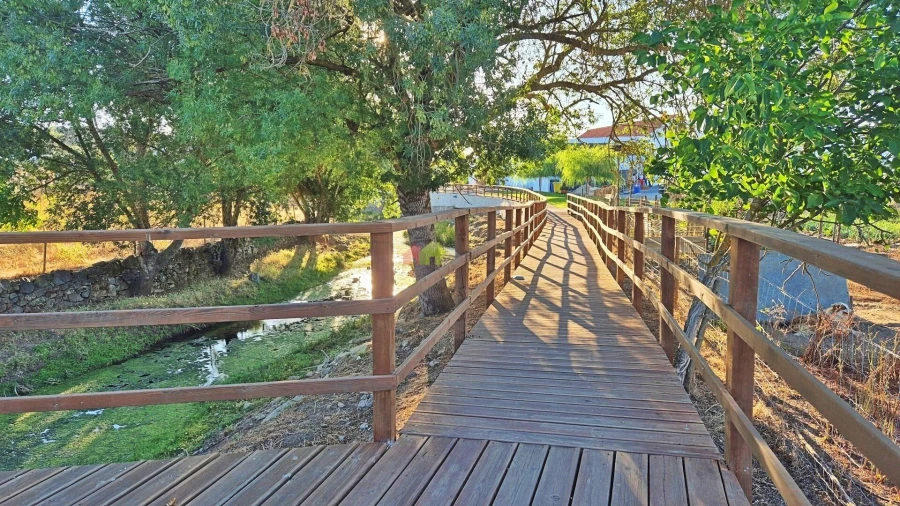 Moradia T5 para Venda em Gafanhoeira (São Pedro) e Sabugueiro Foto 39