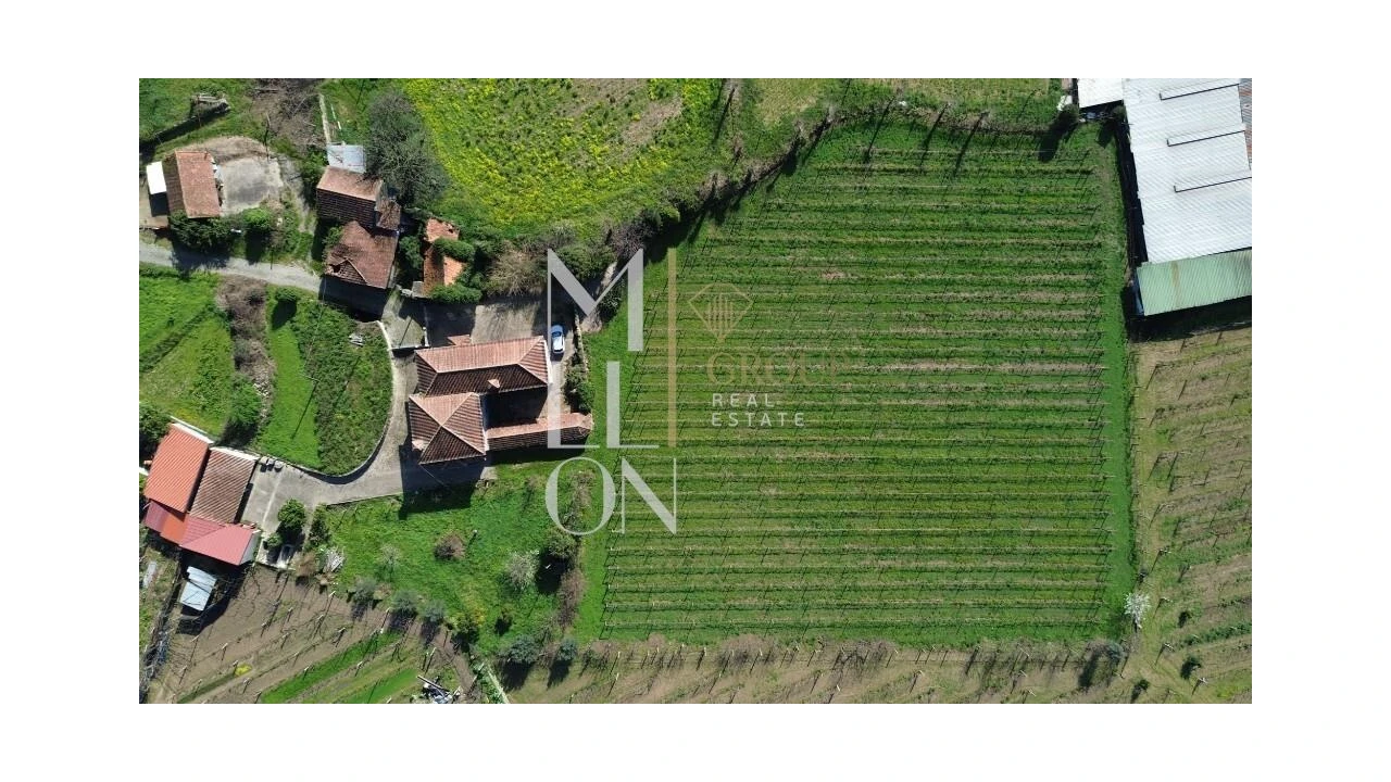 Quinta T4 para Venda em Silvares, Pias, Nogueira e Alvarenga Foto 36