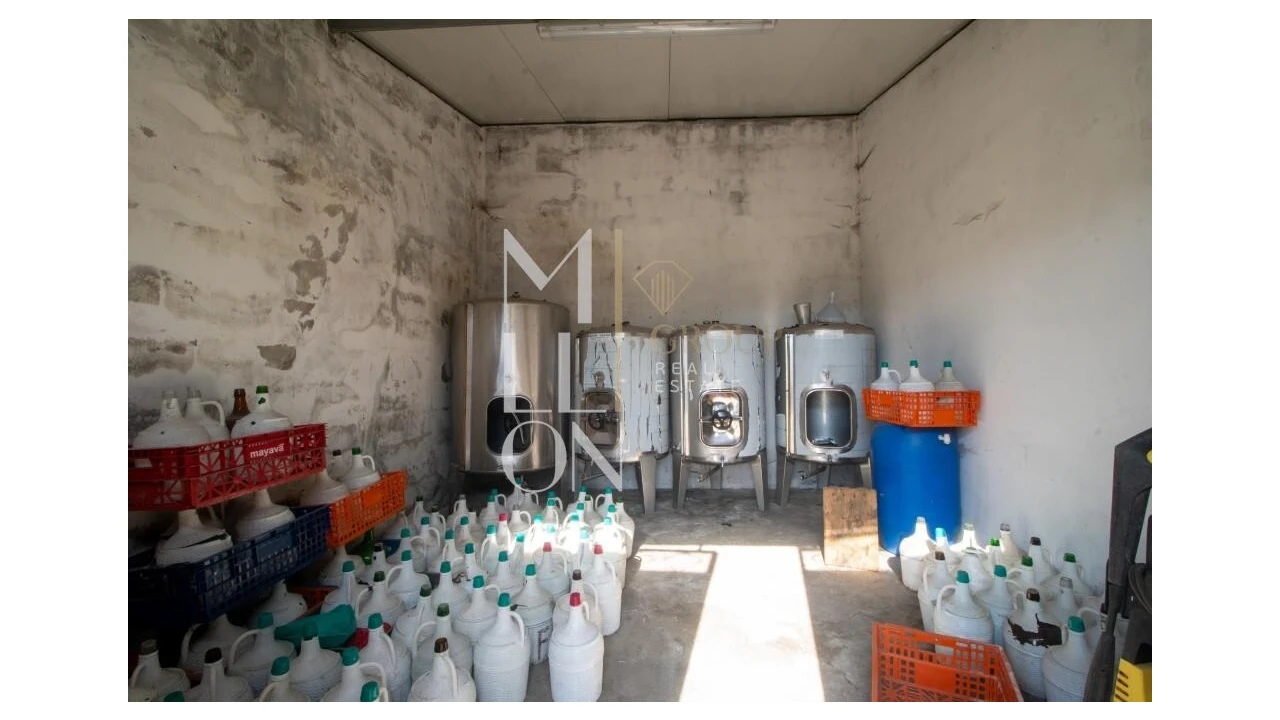 Quinta T4 para Venda em Silvares, Pias, Nogueira e Alvarenga Foto 31