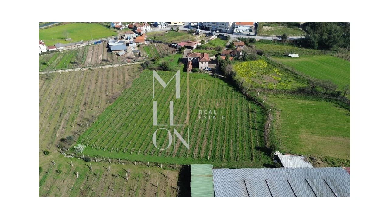 Quinta T4 para Venda em Silvares, Pias, Nogueira e Alvarenga Foto 40