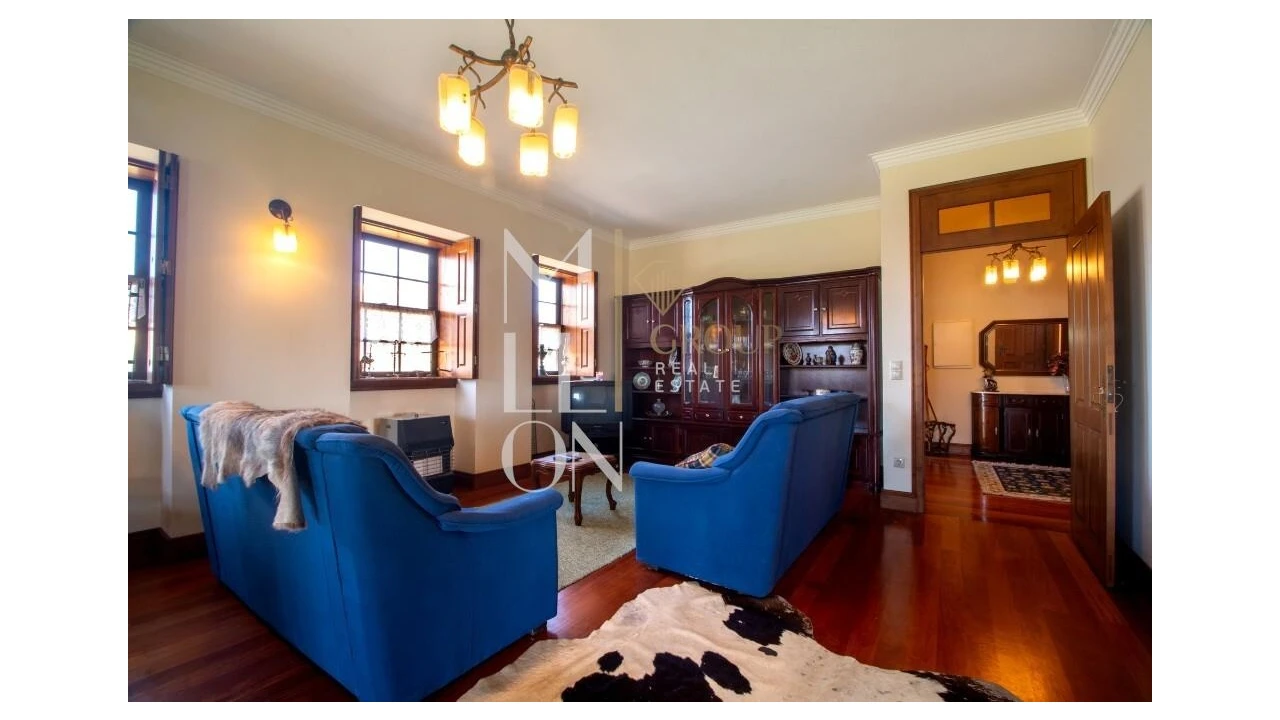 Quinta T4 para Venda em Silvares, Pias, Nogueira e Alvarenga Foto 10