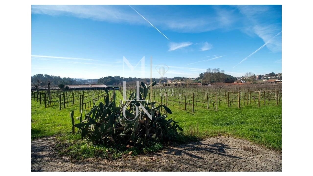 Quinta T4 para Venda em Silvares, Pias, Nogueira e Alvarenga Foto 33