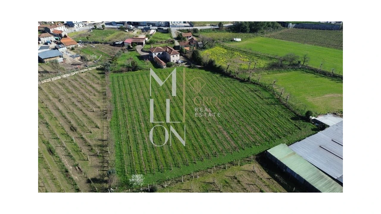 Quinta T4 para Venda em Silvares, Pias, Nogueira e Alvarenga Foto 41