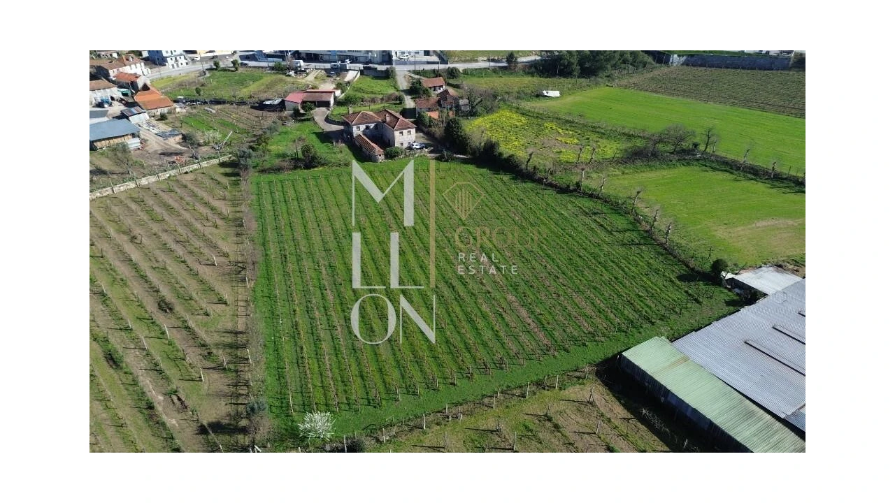 Quinta T4 para Venda em Silvares, Pias, Nogueira e Alvarenga Foto 42