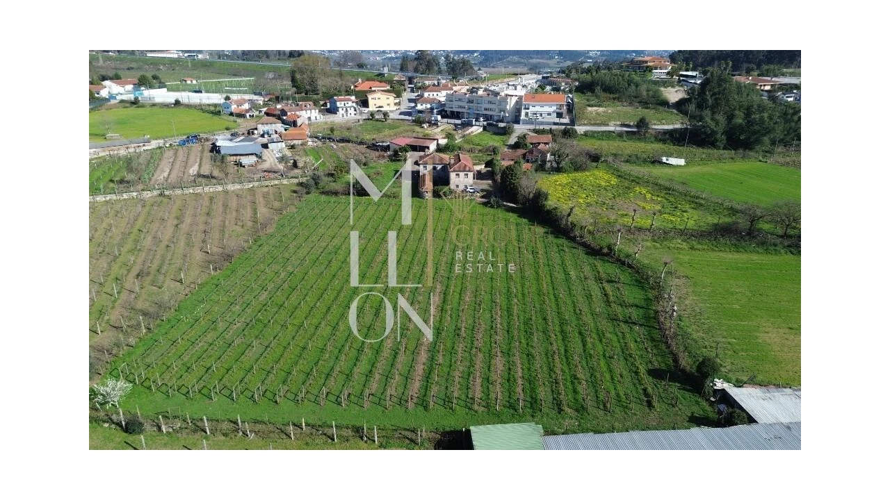 Quinta T4 para Venda em Silvares, Pias, Nogueira e Alvarenga Foto 44