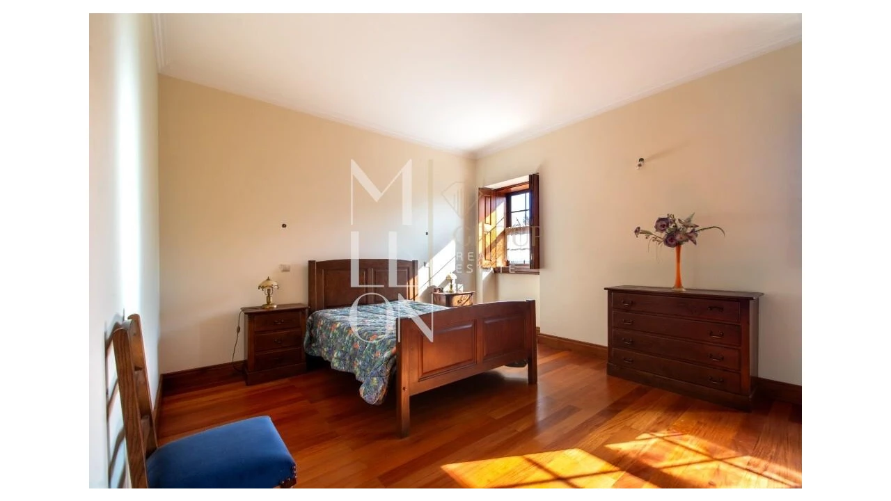 Quinta T4 para Venda em Silvares, Pias, Nogueira e Alvarenga Foto 20