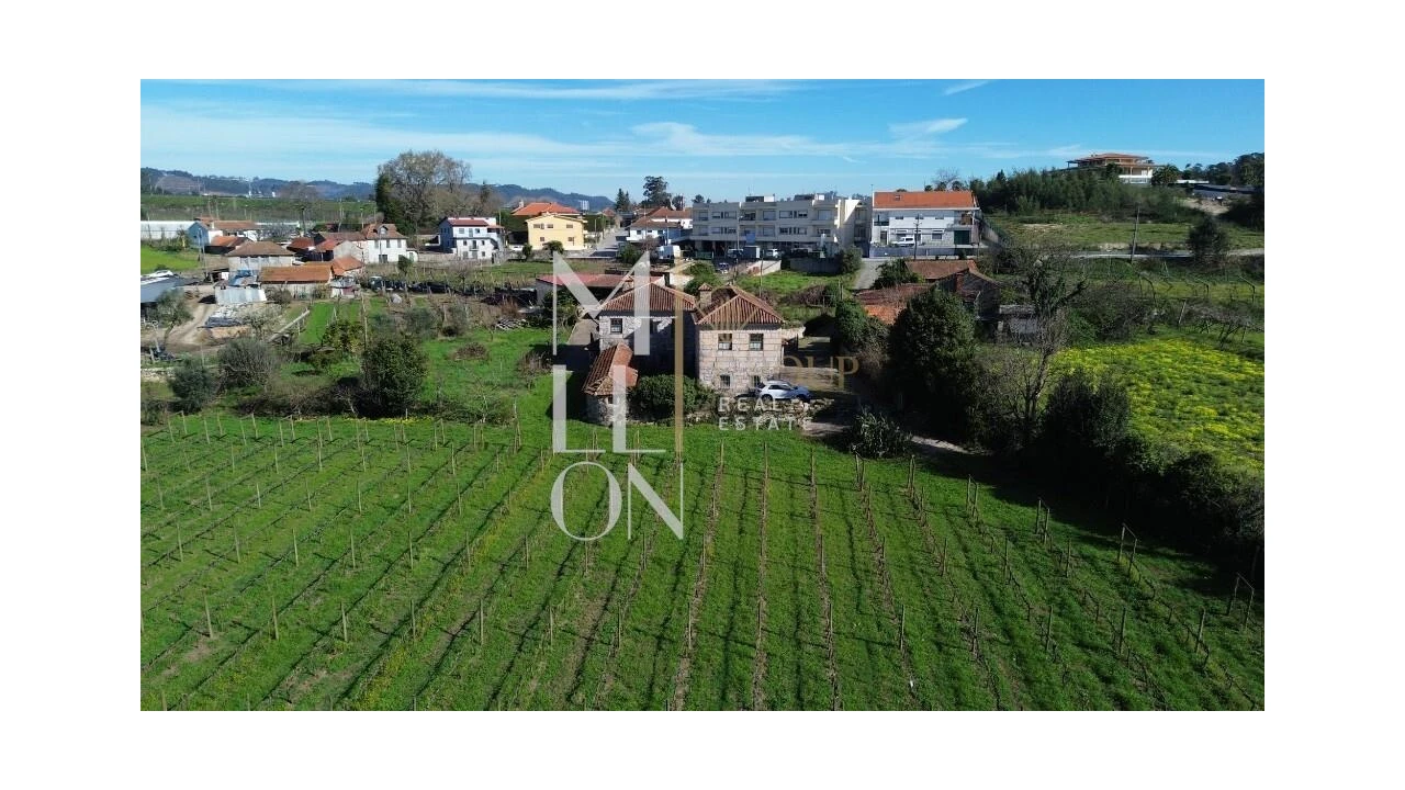 Quinta T4 para Venda em Silvares, Pias, Nogueira e Alvarenga Foto 45